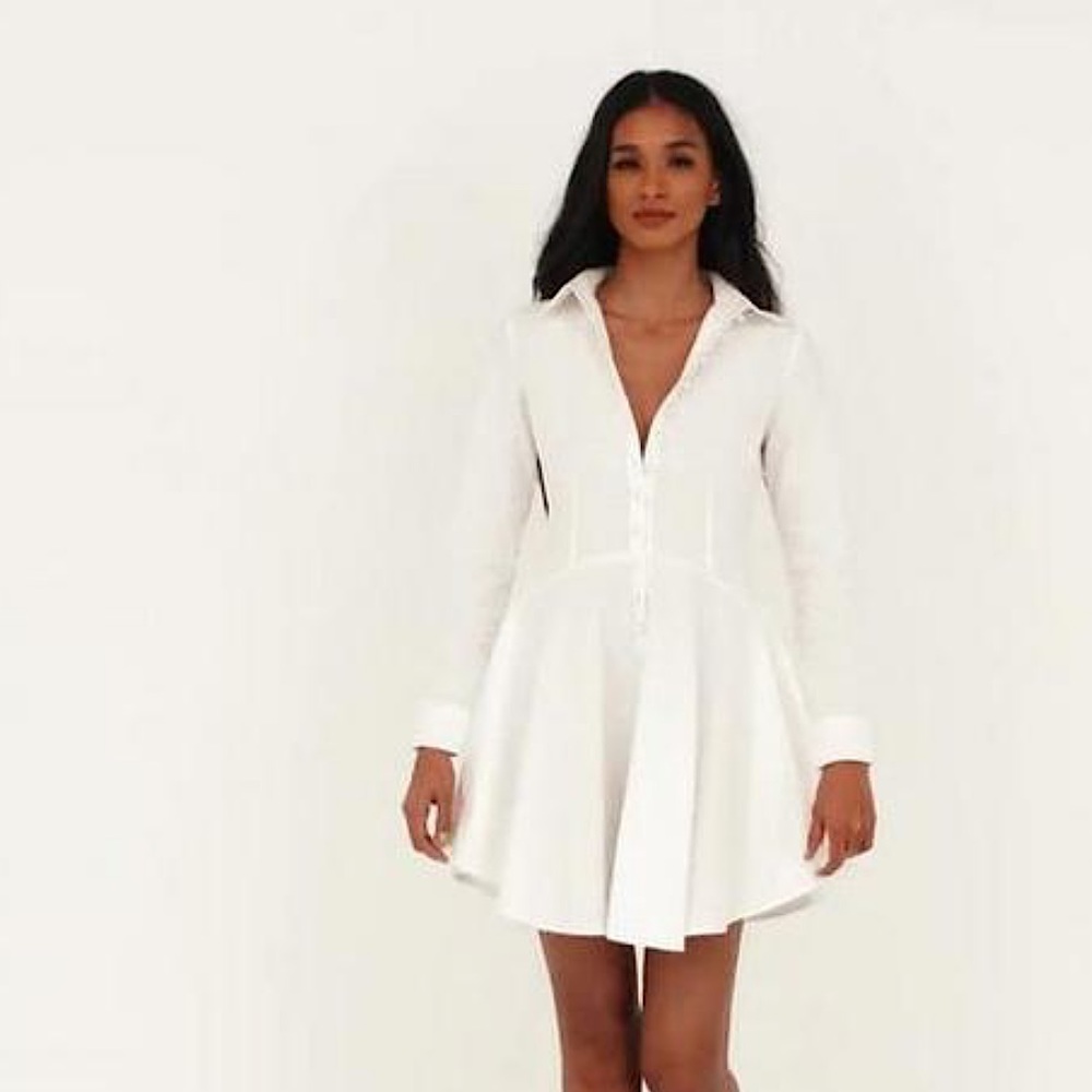 White button down skater dress